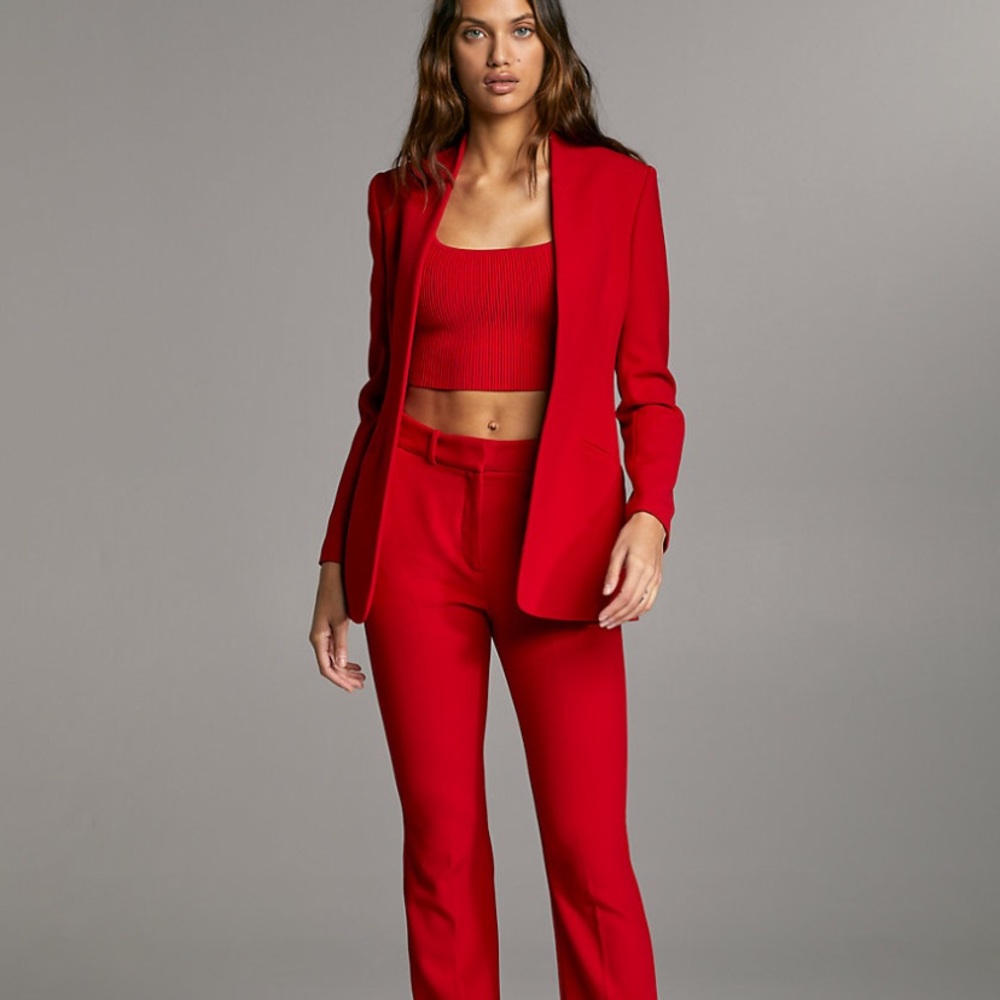 Aritzia Babaton Jackson Blazer Size 2